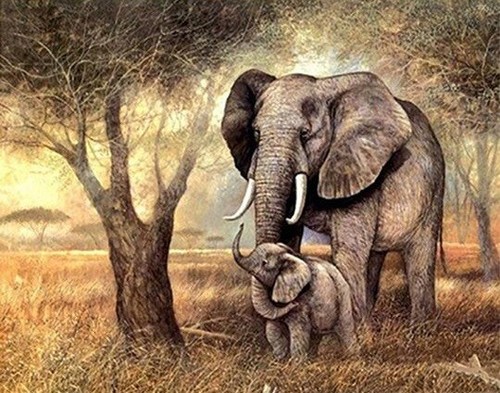 Elefante motivo punto - (7),