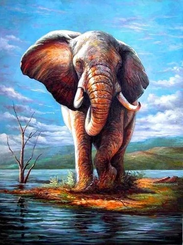 Elefante motivo punto - (2),